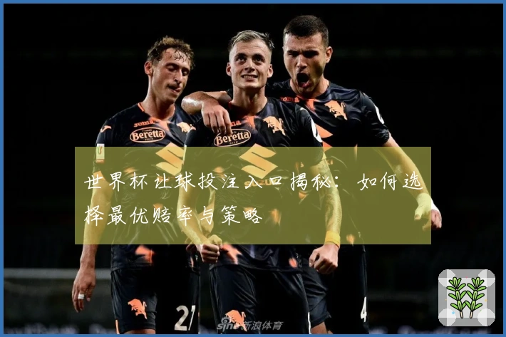 世界杯让球投注入口揭秘：如何选择最优赔率与策略