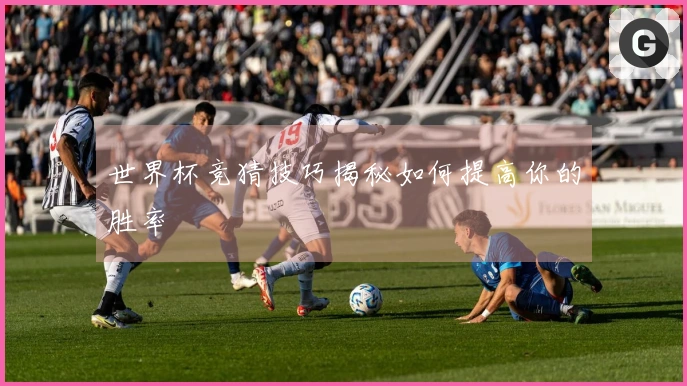 世界杯竞猜技巧揭秘如何提高你的胜率