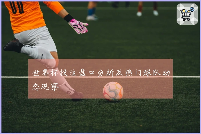 世界杯投注盘口分析及热门球队动态观察