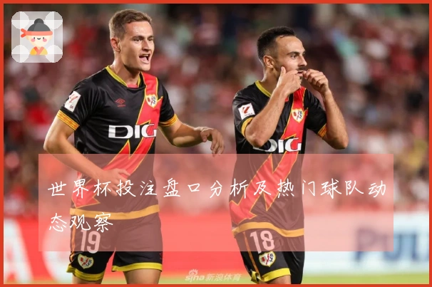 世界杯投注盘口分析及热门球队动态观察
