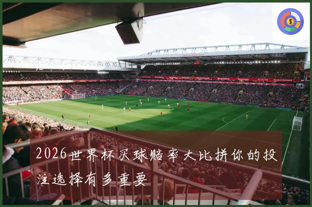2026世界杯买球赔率大比拼你的投注选择有多重要