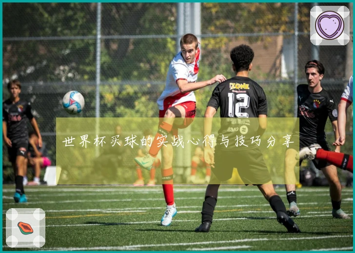 世界杯买球的实战心得与技巧分享
