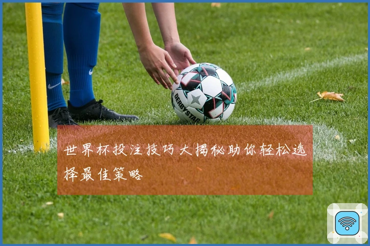 世界杯投注技巧大揭秘助你轻松选择最佳策略