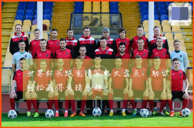 世界杯买球竞猜策略大盘点，助你轻松赢得竞猜乐趣