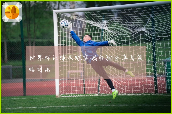 世界杯让球买球实战经验分享与策略讨论