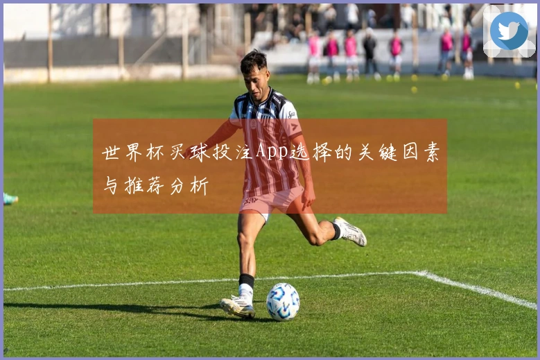 世界杯买球投注App选择的关键因素与推荐分析